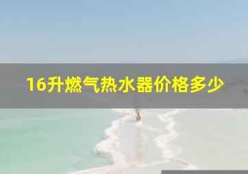 16升燃气热水器价格多少