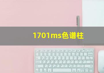 1701ms色谱柱