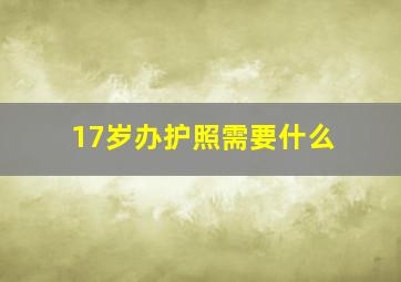 17岁办护照需要什么