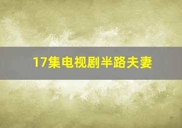 17集电视剧半路夫妻