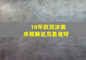 18年欧冠决赛央视解说员是谁呀