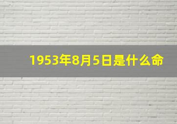 1953年8月5日是什么命