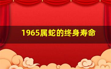 1965属蛇的终身寿命