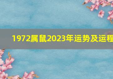 1972属鼠2023年运势及运程