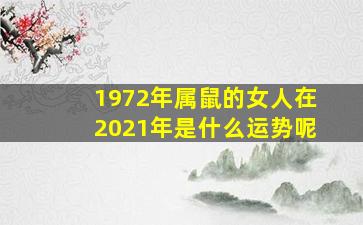 1972年属鼠的女人在2021年是什么运势呢