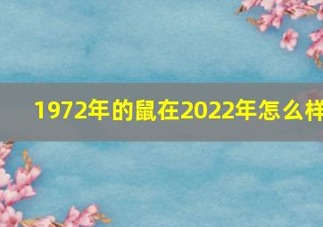 1972年的鼠在2022年怎么样