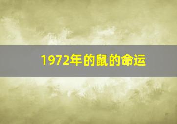 1972年的鼠的命运