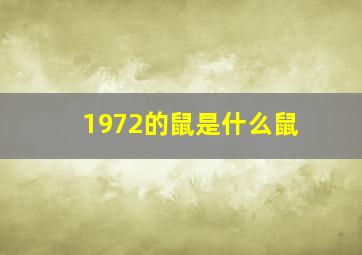 1972的鼠是什么鼠