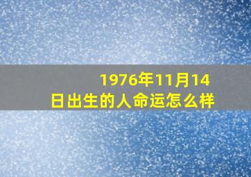 1976年11月14日出生的人命运怎么样