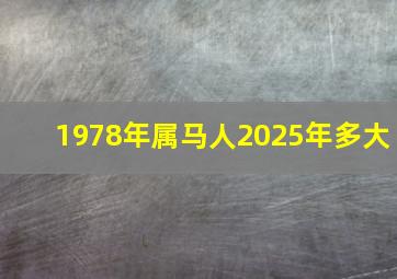 1978年属马人2025年多大