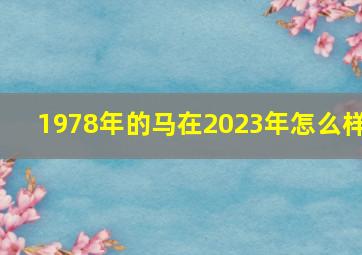 1978年的马在2023年怎么样