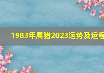 1983年属猪2023运势及运程