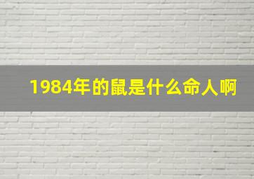 1984年的鼠是什么命人啊