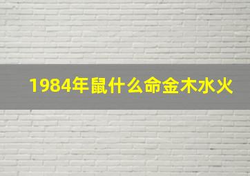 1984年鼠什么命金木水火