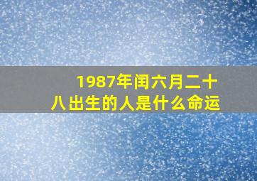 1987年闰六月二十八出生的人是什么命运