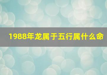 1988年龙属于五行属什么命