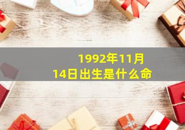 1992年11月14日出生是什么命