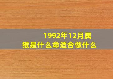 1992年12月属猴是什么命适合做什么