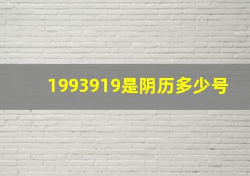 1993919是阴历多少号