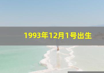 1993年12月1号出生