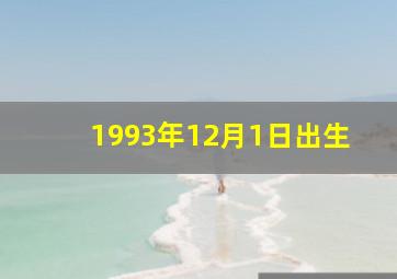 1993年12月1日出生