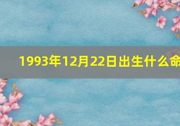 1993年12月22日出生什么命