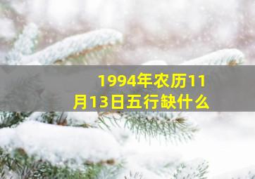 1994年农历11月13日五行缺什么