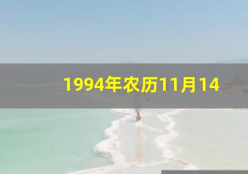 1994年农历11月14