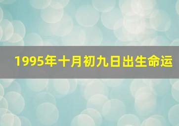 1995年十月初九日出生命运