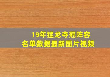 19年猛龙夺冠阵容名单数据最新图片视频