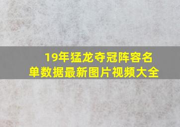 19年猛龙夺冠阵容名单数据最新图片视频大全