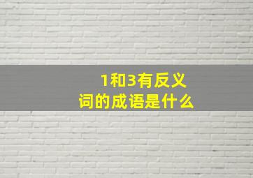 1和3有反义词的成语是什么