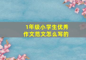 1年级小学生优秀作文范文怎么写的