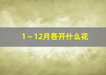 1～12月各开什么花