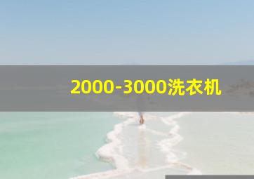 2000-3000洗衣机