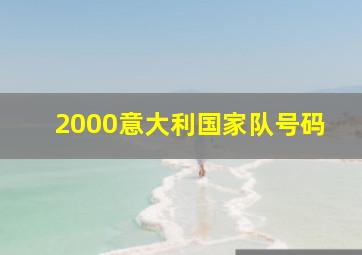 2000意大利国家队号码