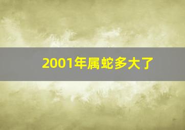 2001年属蛇多大了