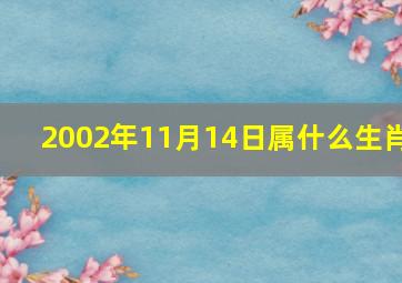 2002年11月14日属什么生肖