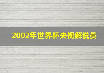 2002年世界杯央视解说员