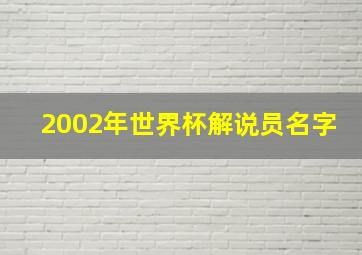 2002年世界杯解说员名字