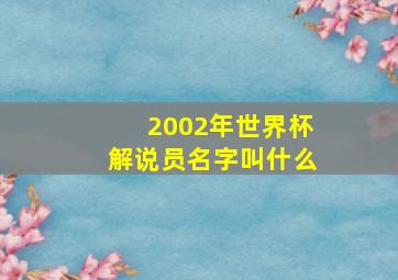 2002年世界杯解说员名字叫什么