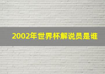 2002年世界杯解说员是谁