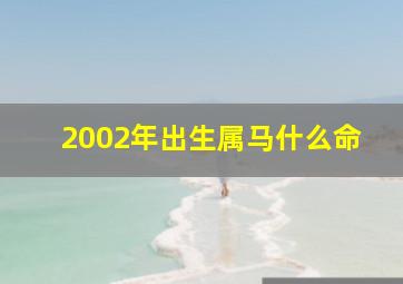 2002年出生属马什么命