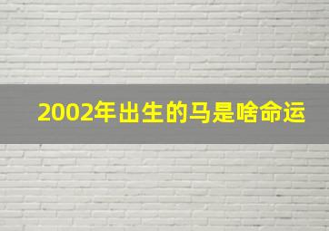 2002年出生的马是啥命运