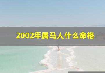 2002年属马人什么命格