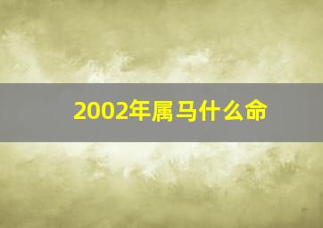 2002年属马什么命