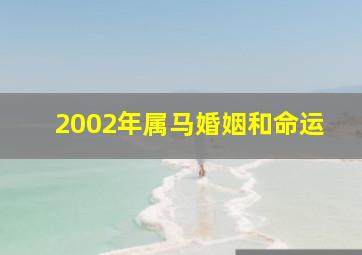 2002年属马婚姻和命运