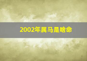 2002年属马是啥命