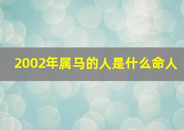 2002年属马的人是什么命人