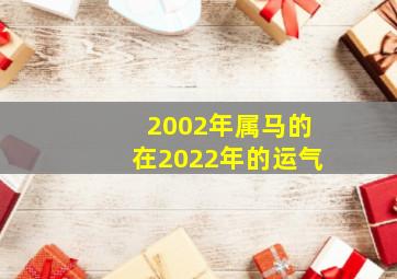 2002年属马的在2022年的运气